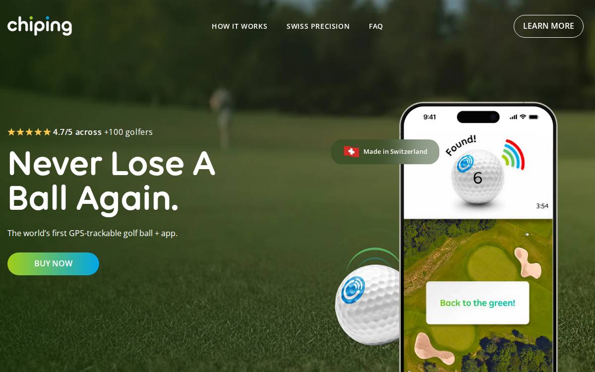 Chip Ing website preview
