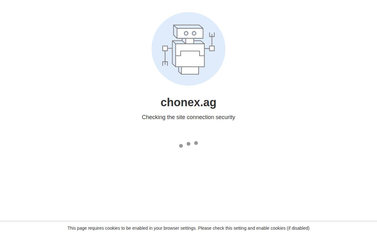 Chonex website preview