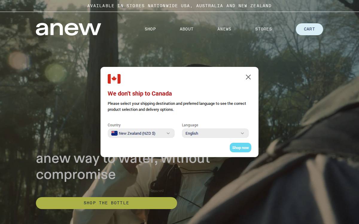 Chooseanew website preview