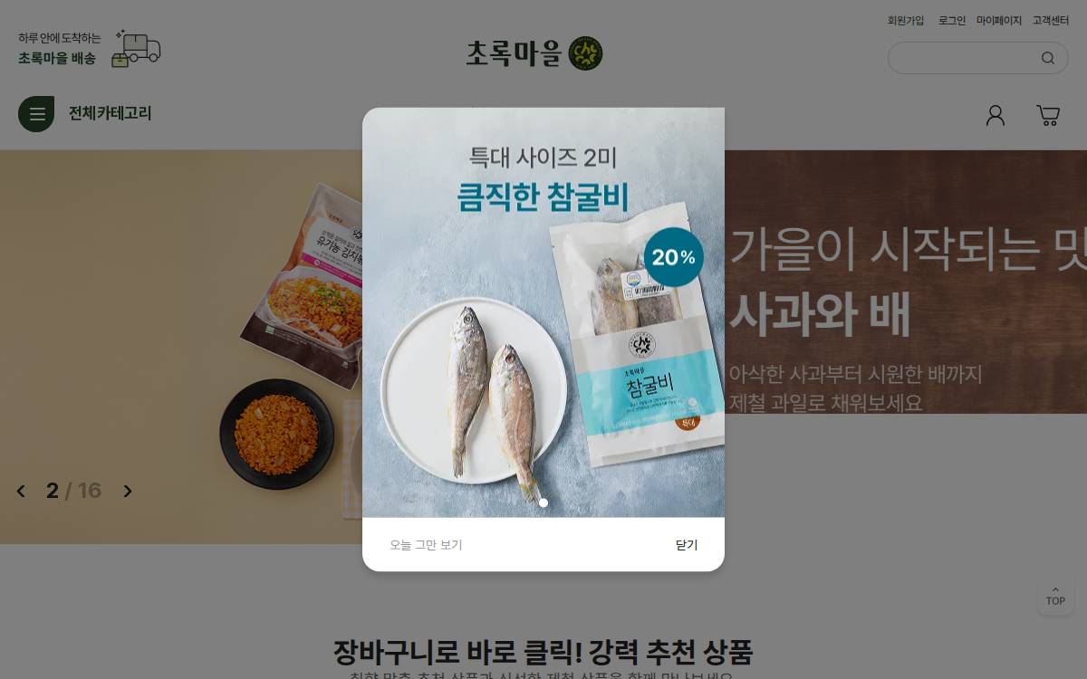 Choroc website preview