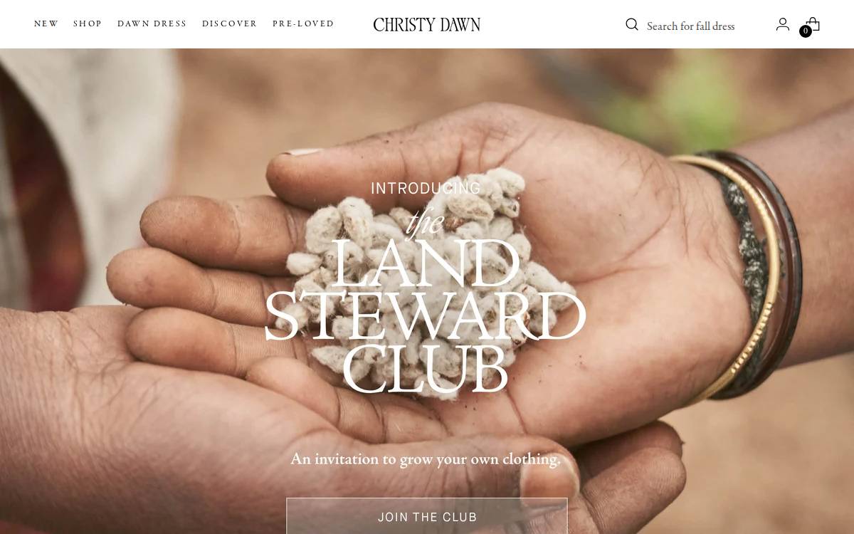 Christy Dawn website preview