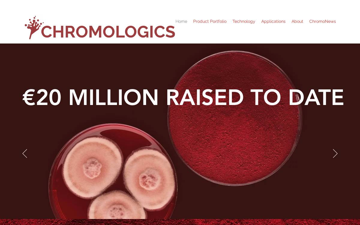 Chromologics website preview
