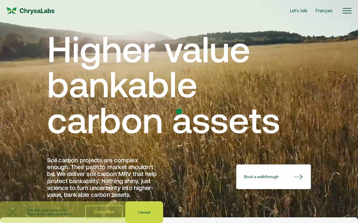 Chrysalabs website preview