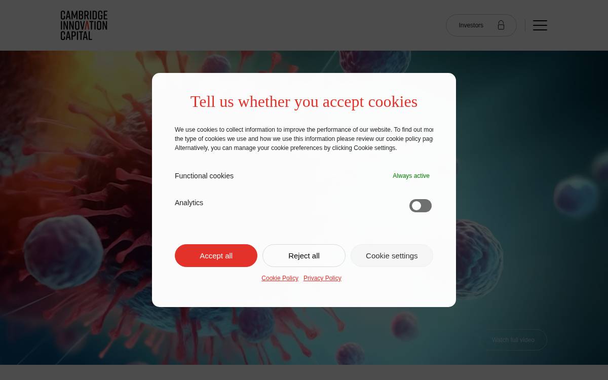 CIC website preview