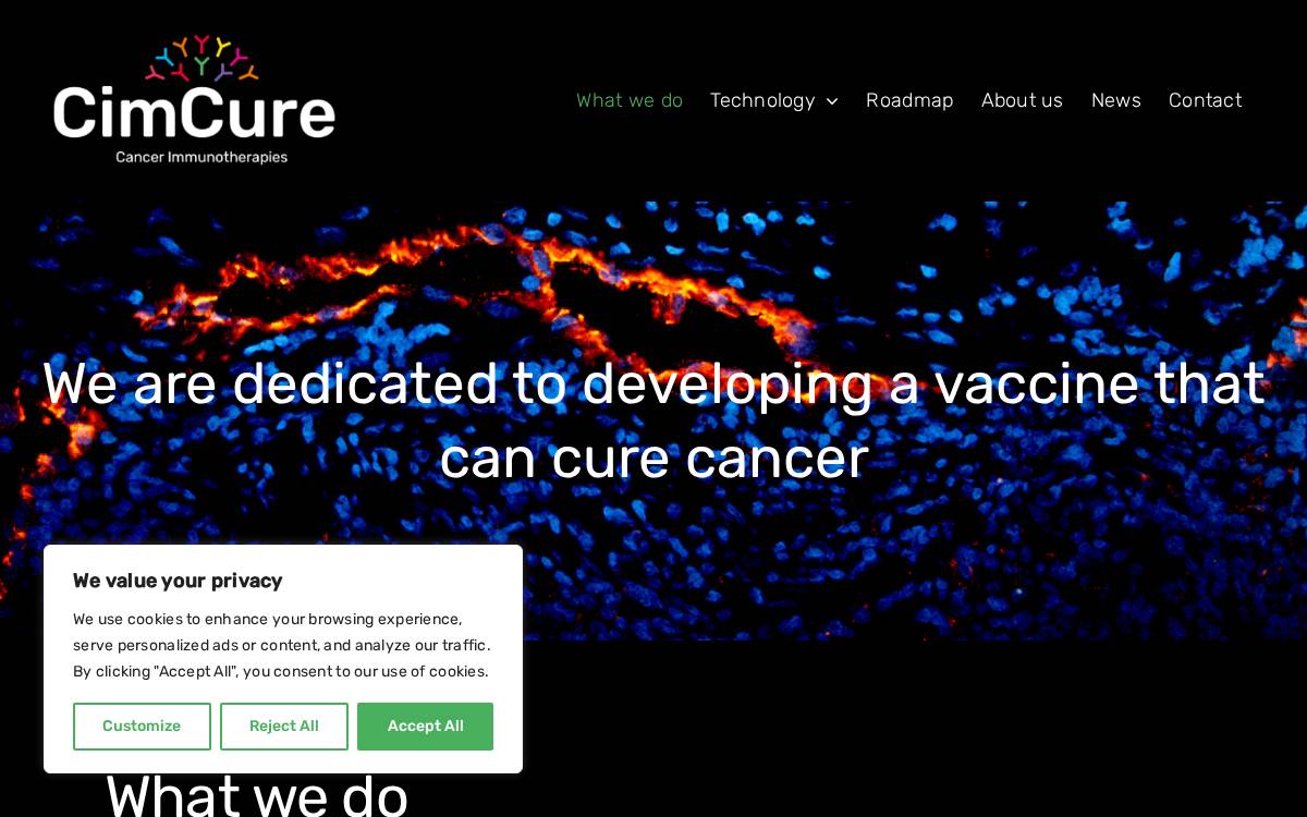 CimCure website preview
