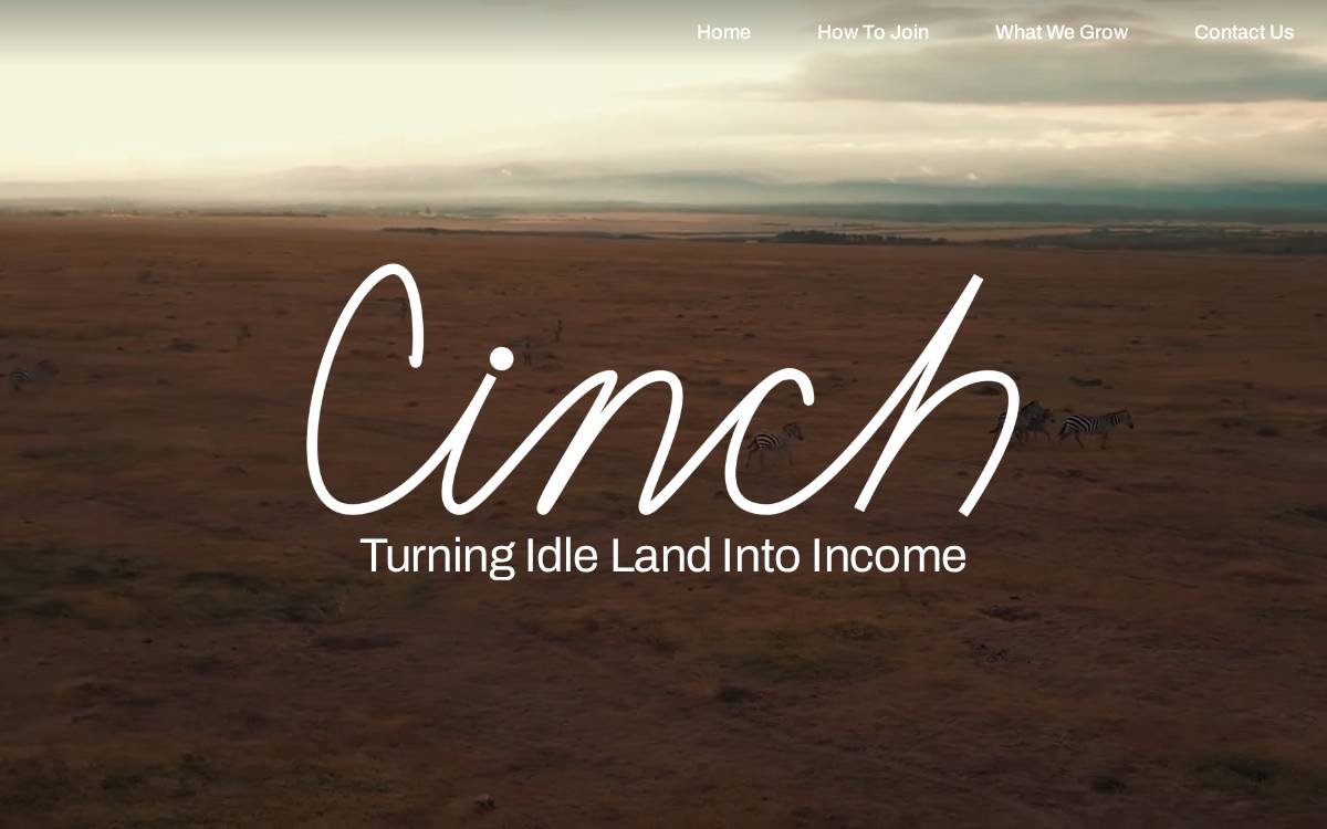 Cinch Markets website preview