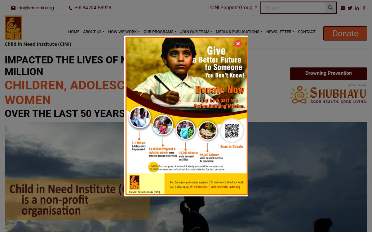 Cini India website preview