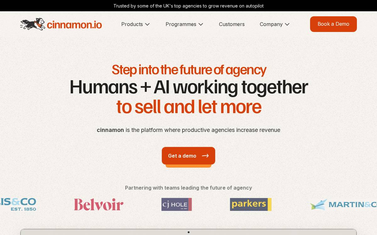Cinnamon website preview