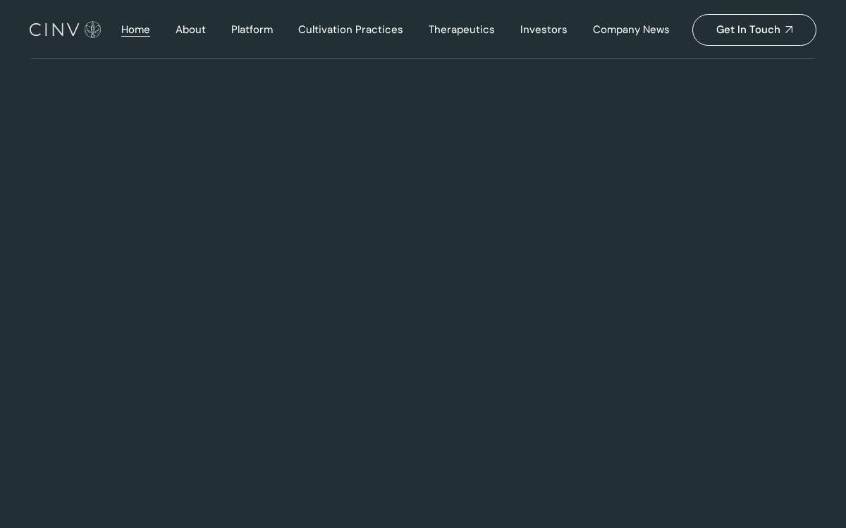 CINV website preview