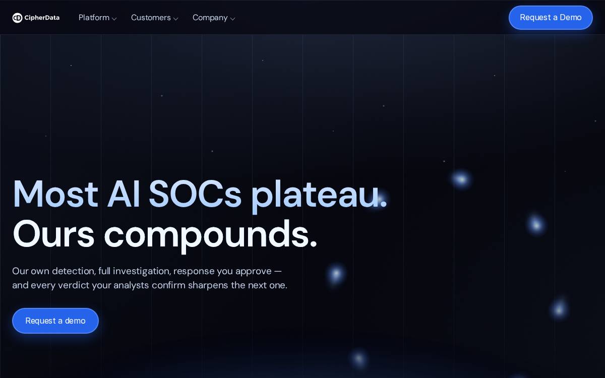 CipherData website preview