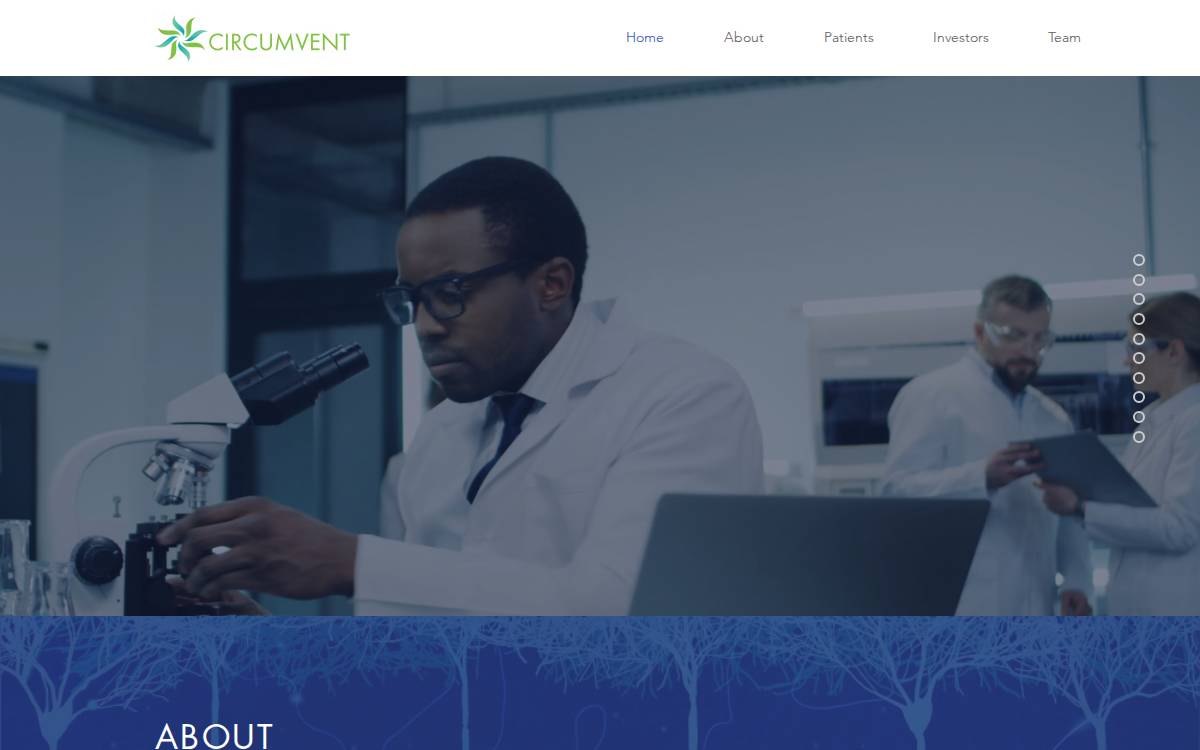Circumvent website preview