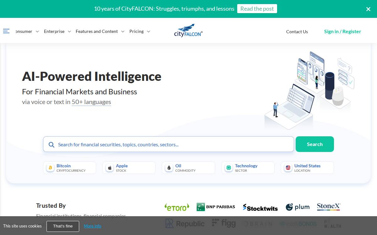 City Falcon website preview