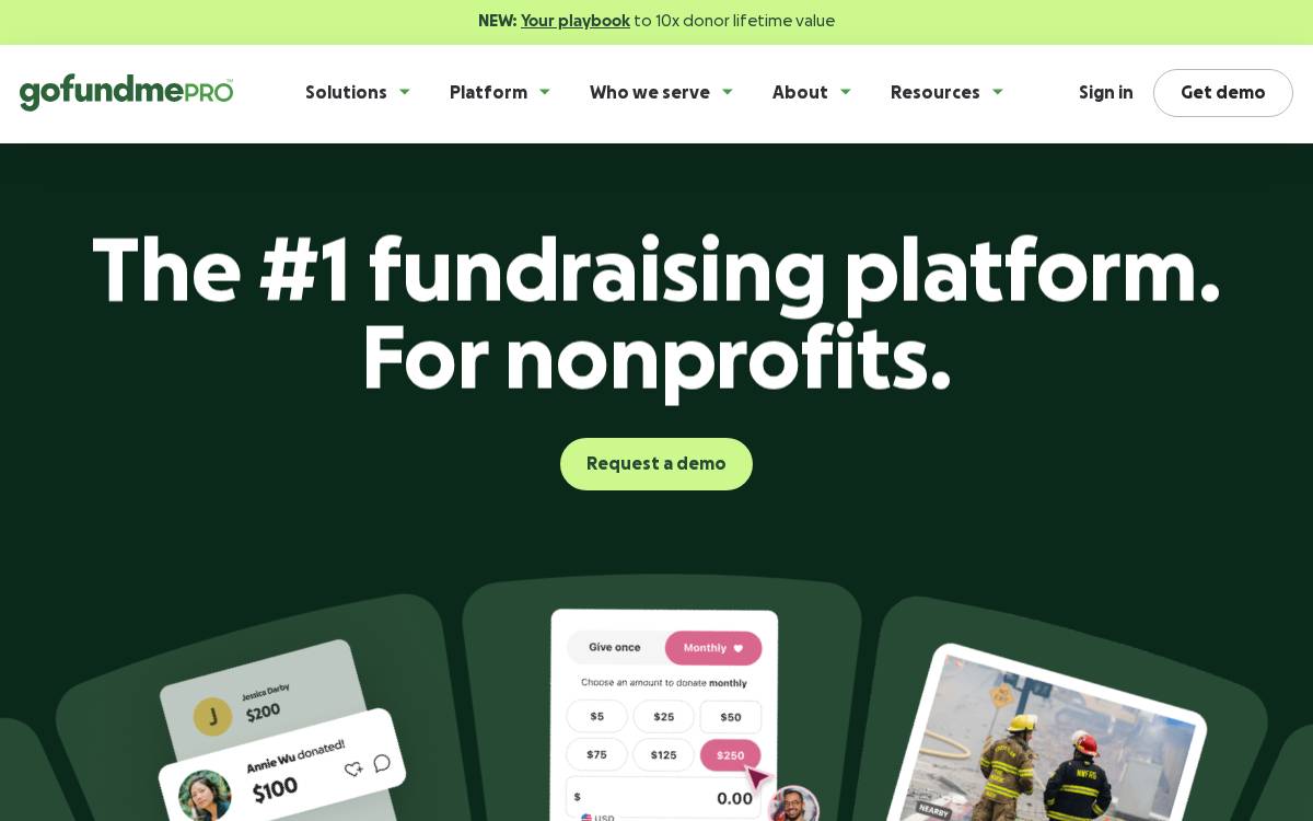 Donate Now website preview