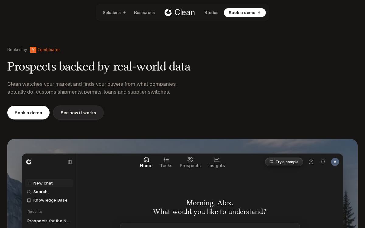 Clean website preview