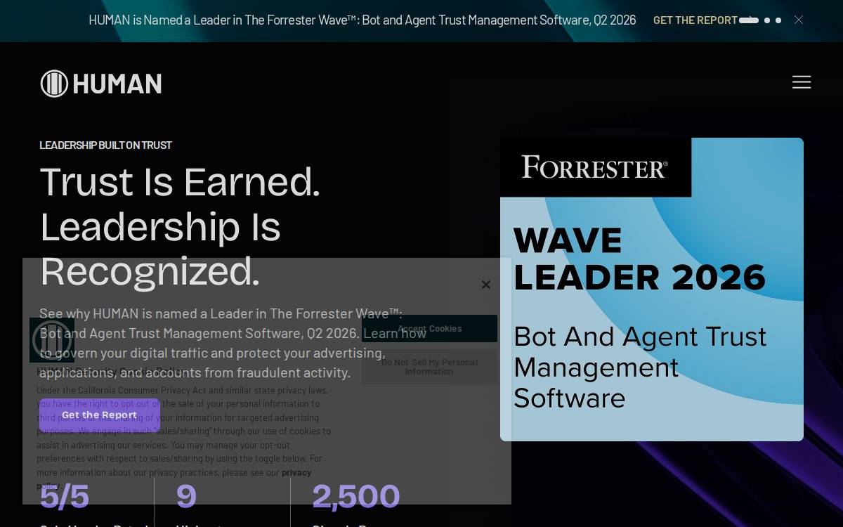 Clean website preview