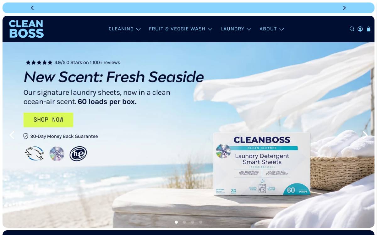 Cleanboss website preview