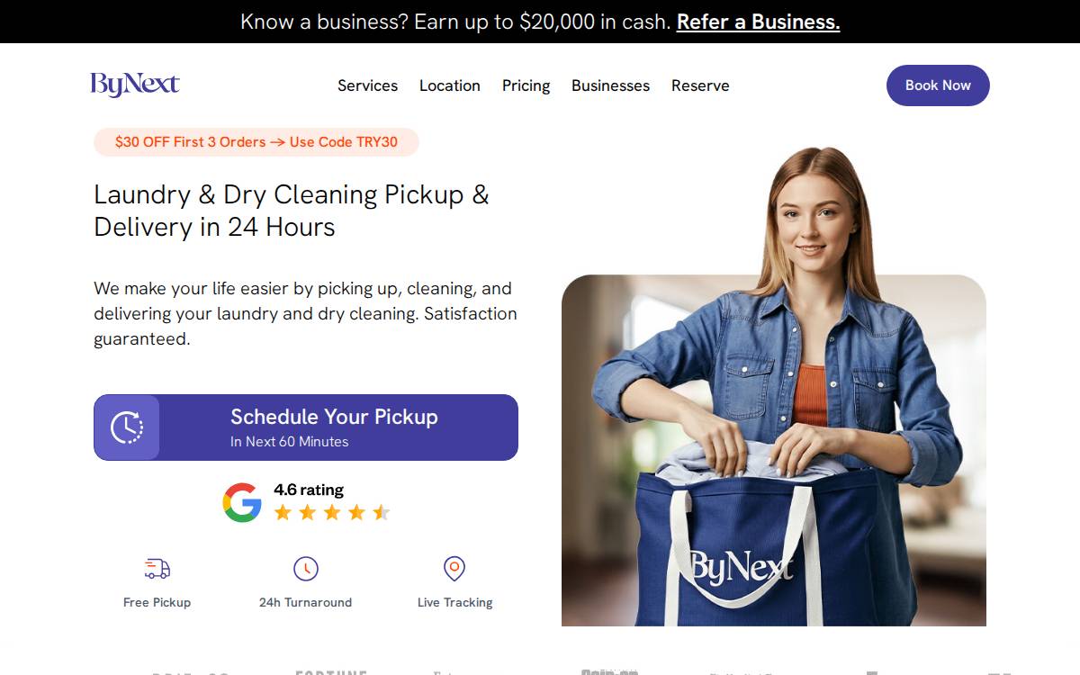 Cleanly website preview