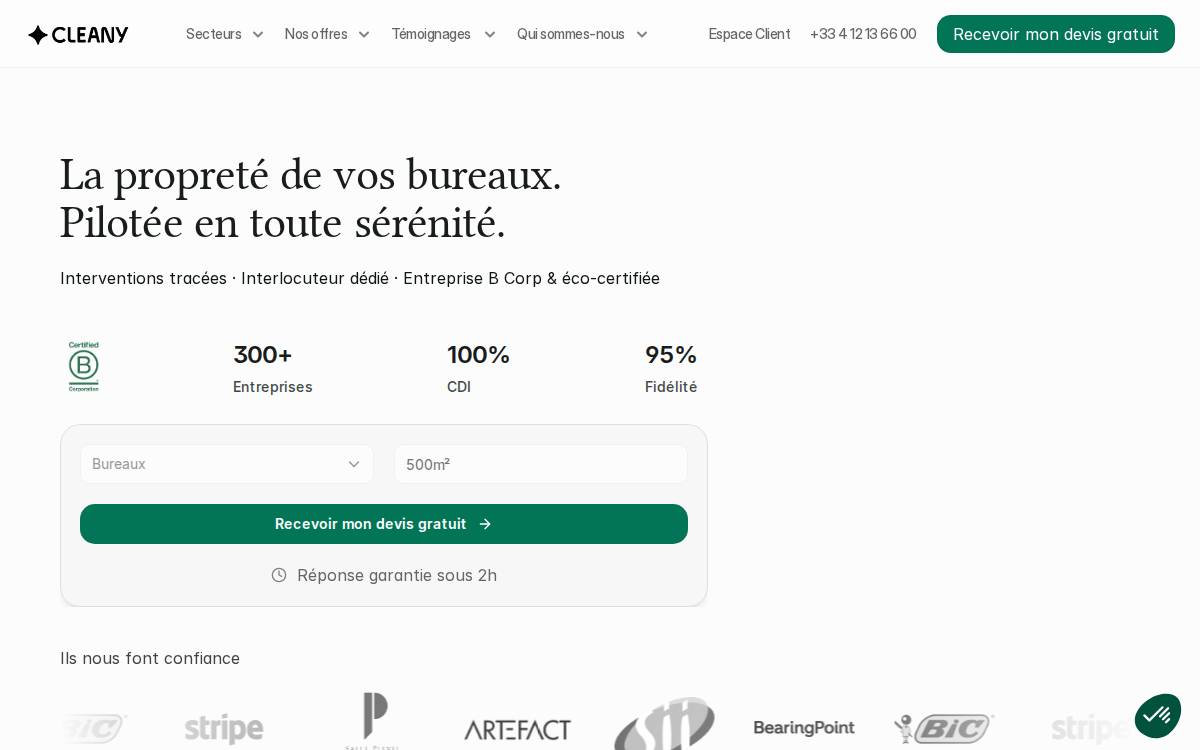 Cleany website preview