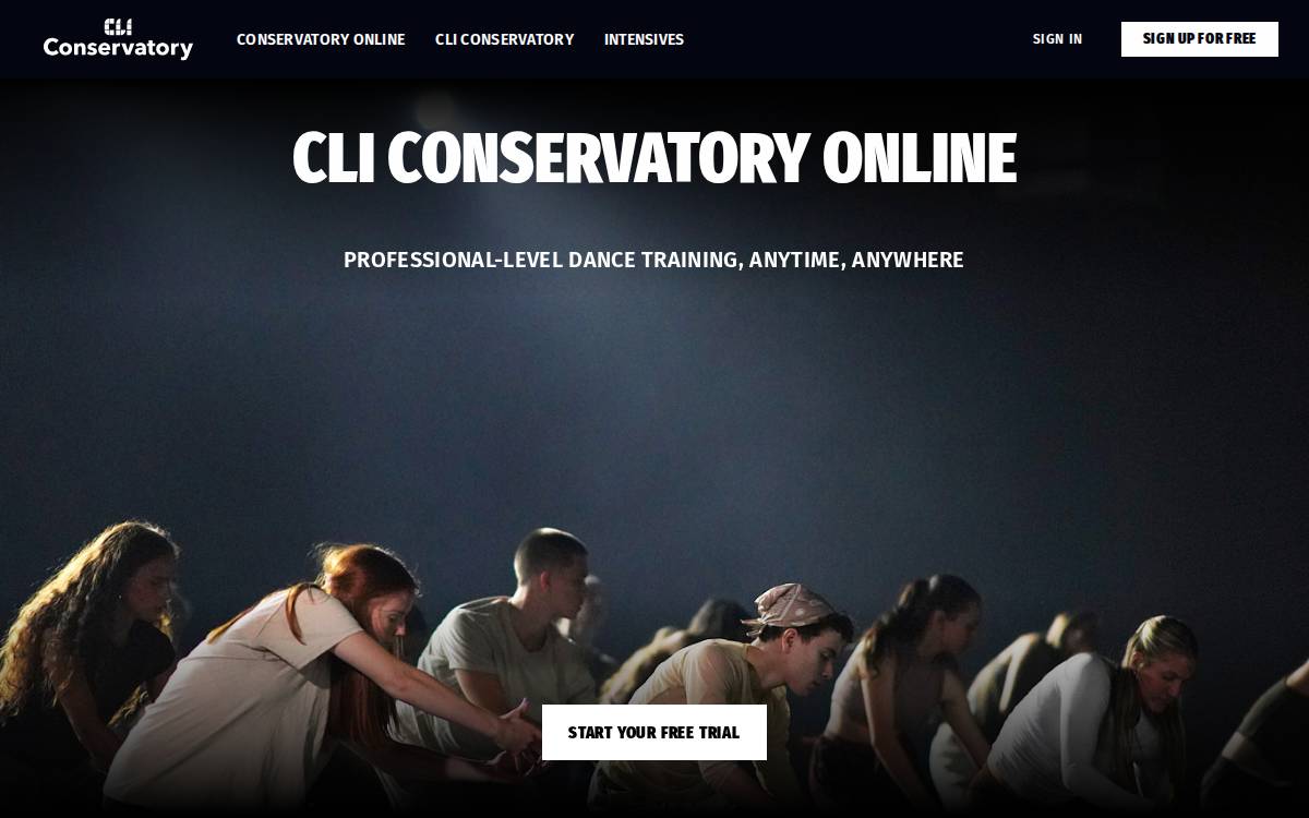 CLI Studios website preview