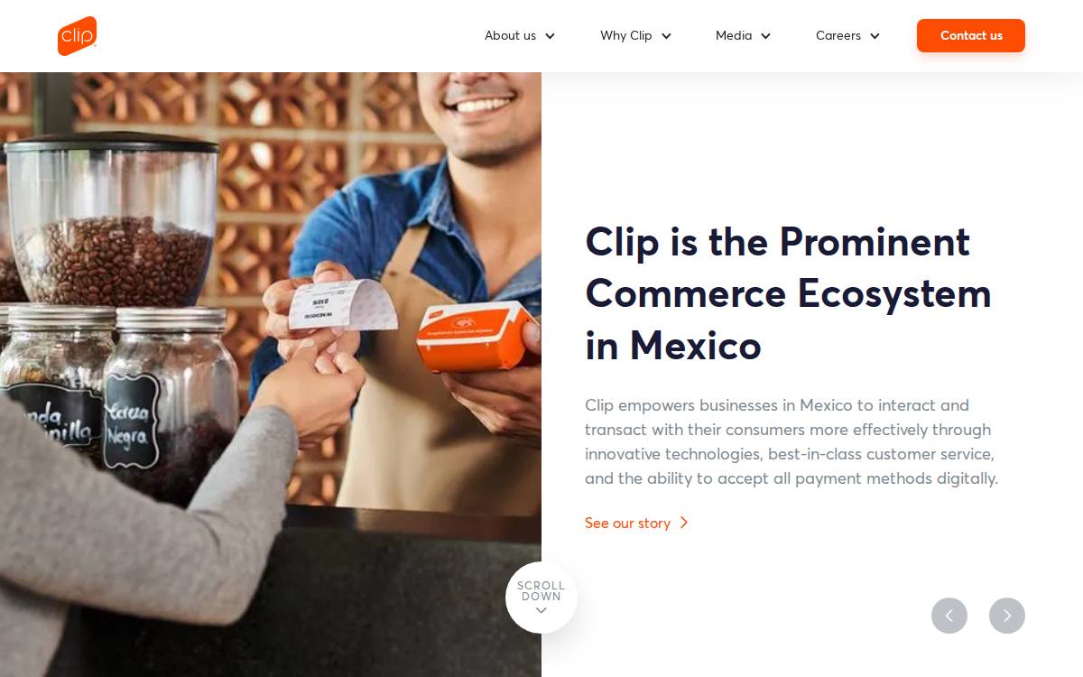 Clip website preview