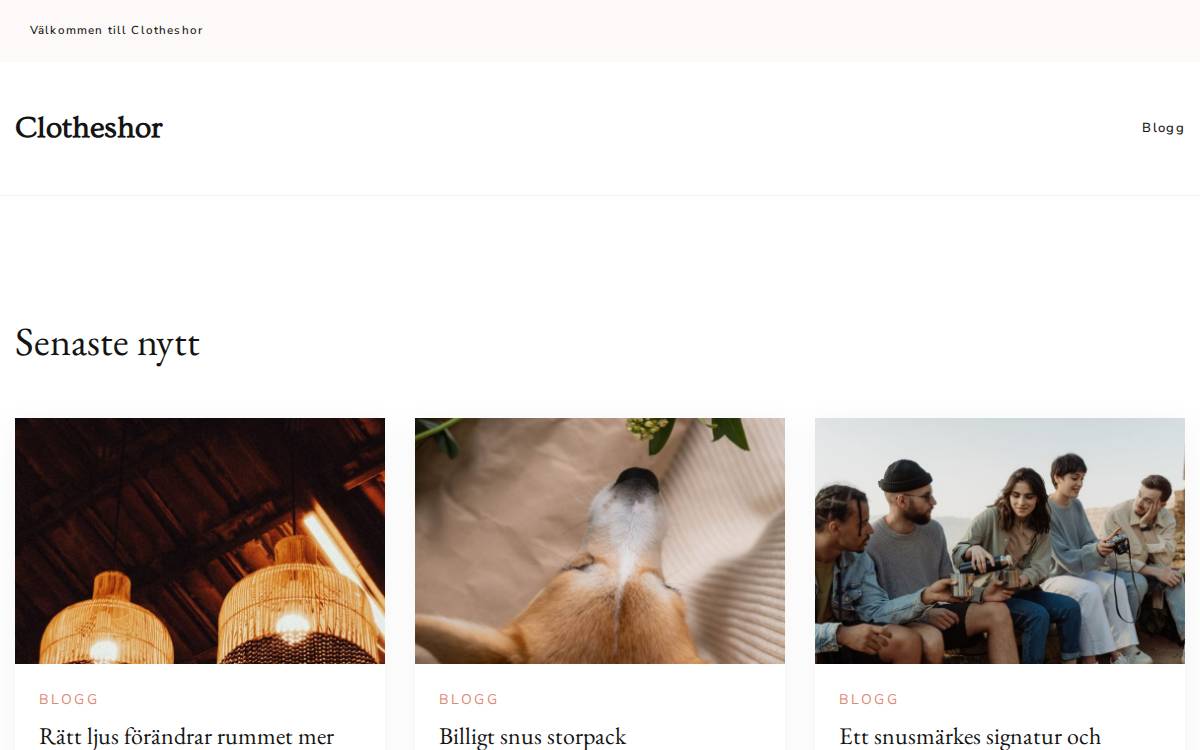 Clothes Horse website preview