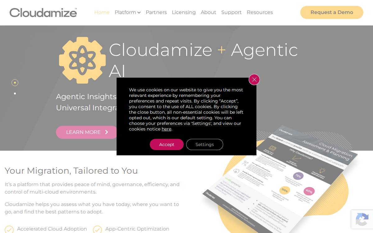 Cloudamize website preview