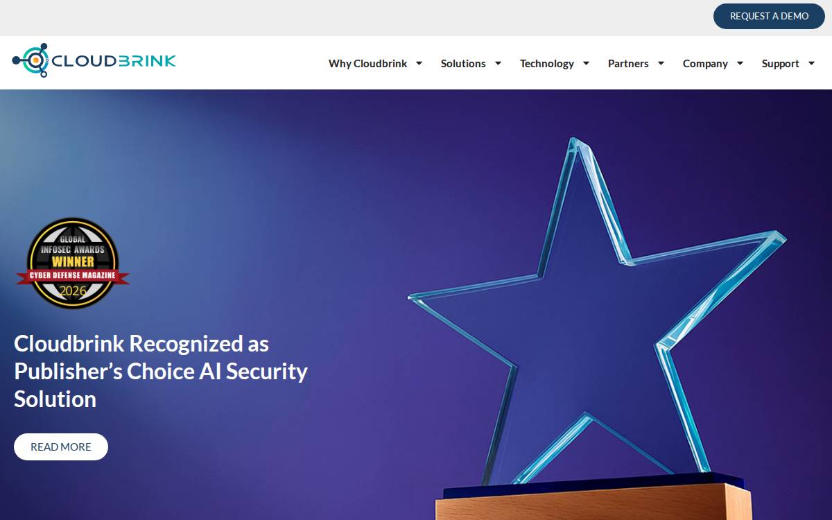 Cloudbrink website preview