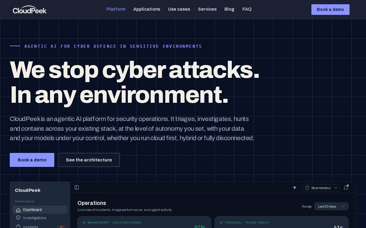 CloudPeek AI website preview
