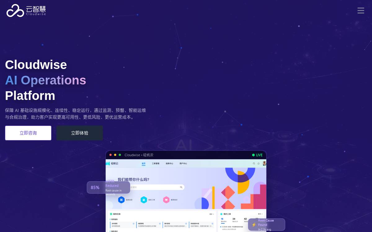 Cloudwise website preview