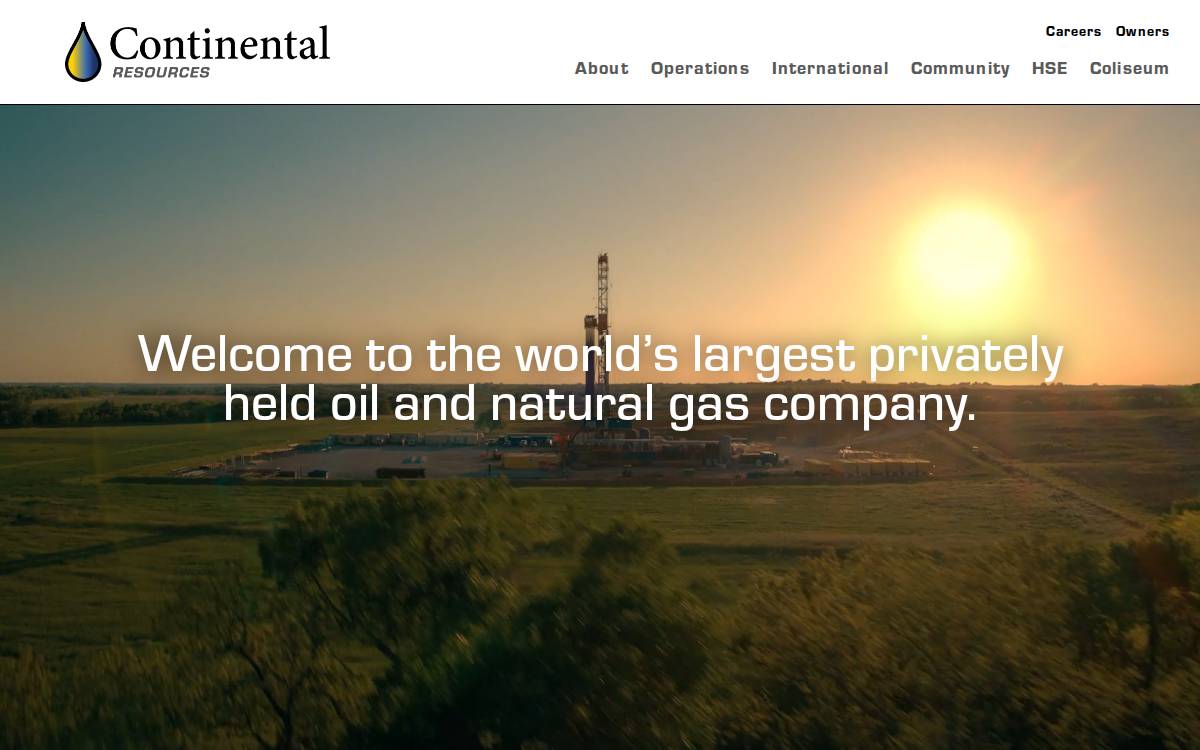 Clr website preview