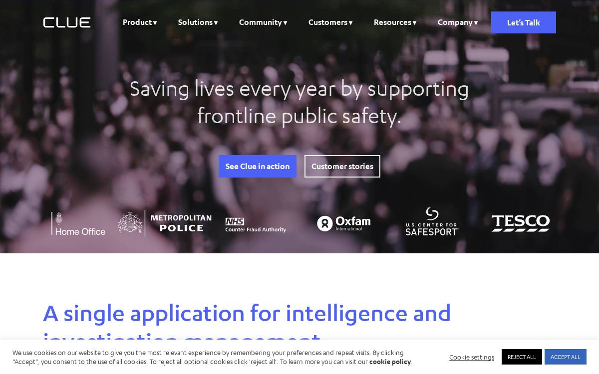 Cluesoftware website preview