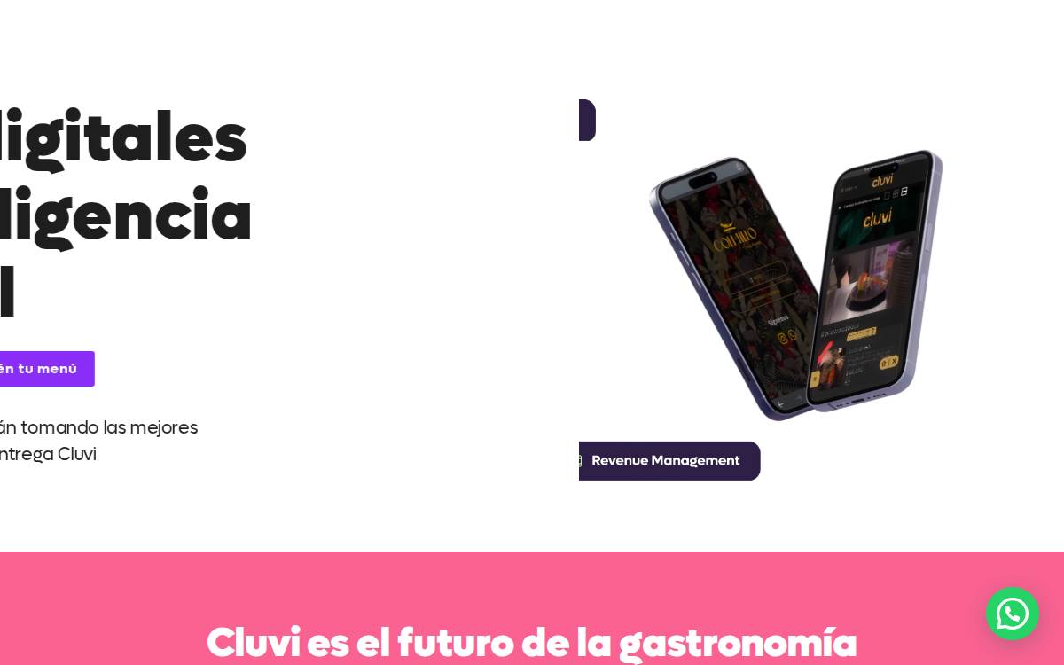 Cluvi website preview