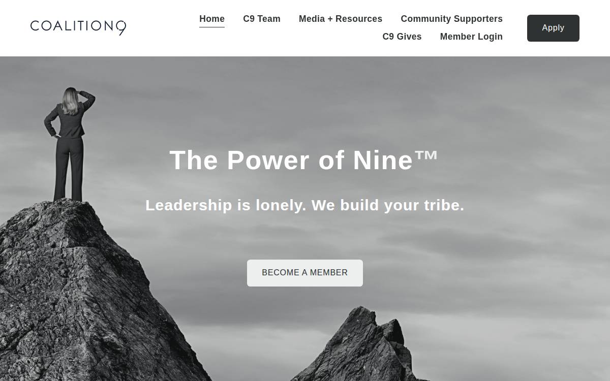 Coalition9 website preview