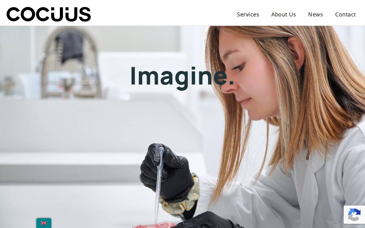 Cocuus website preview