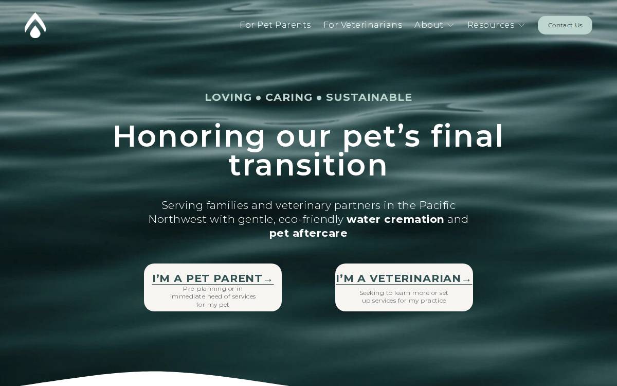 Coda website preview