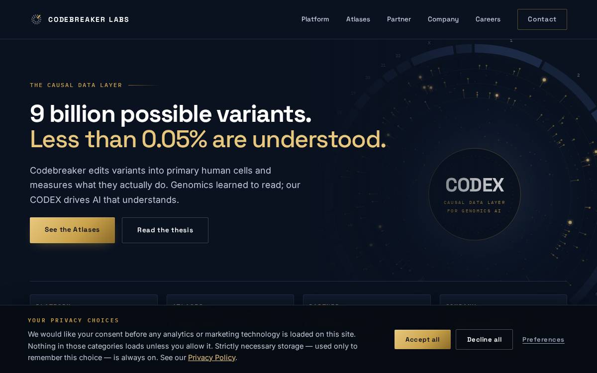 Codebreaker website preview
