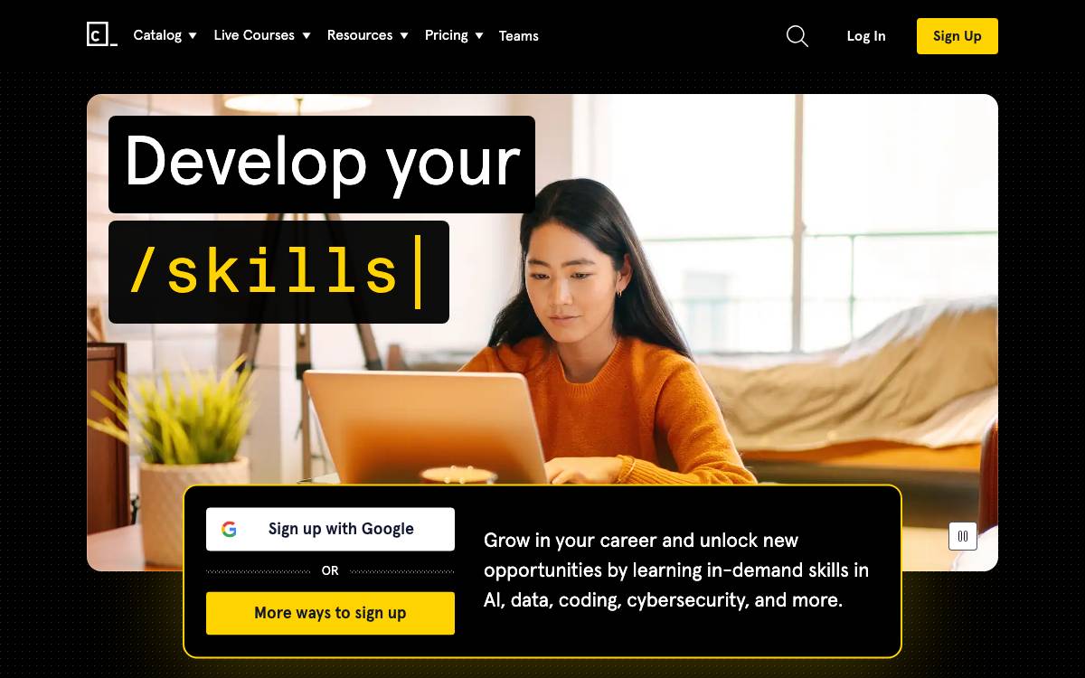 Codecademy website preview