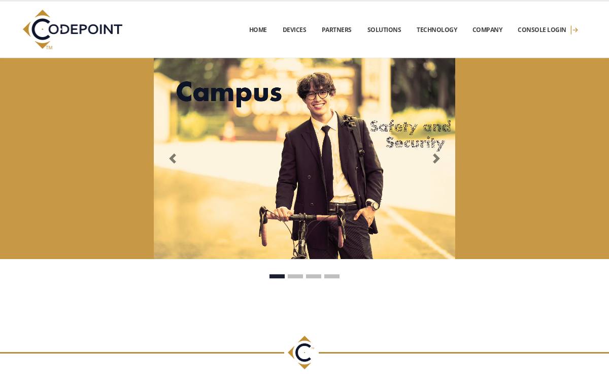 Codepoint website preview