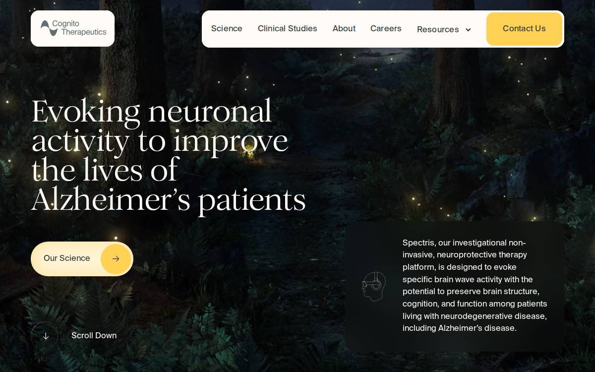 Cognito TX website preview