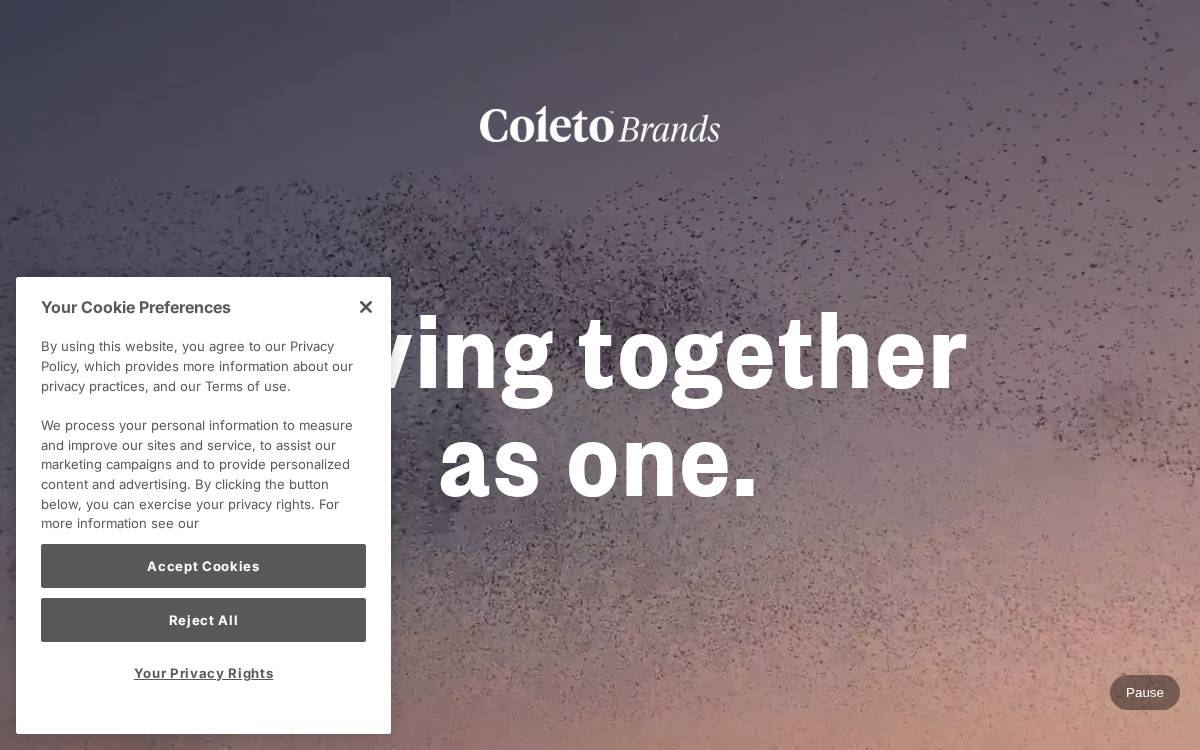 Coleto Brands website preview
