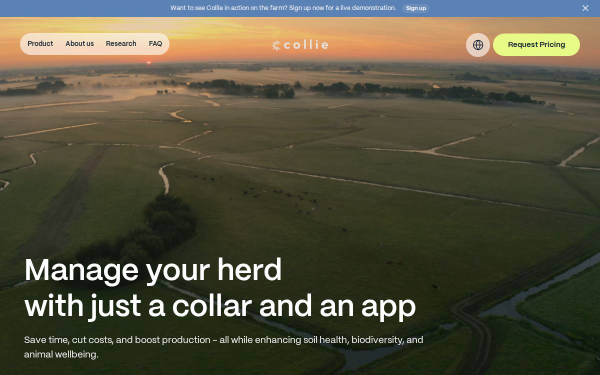 Collie website preview