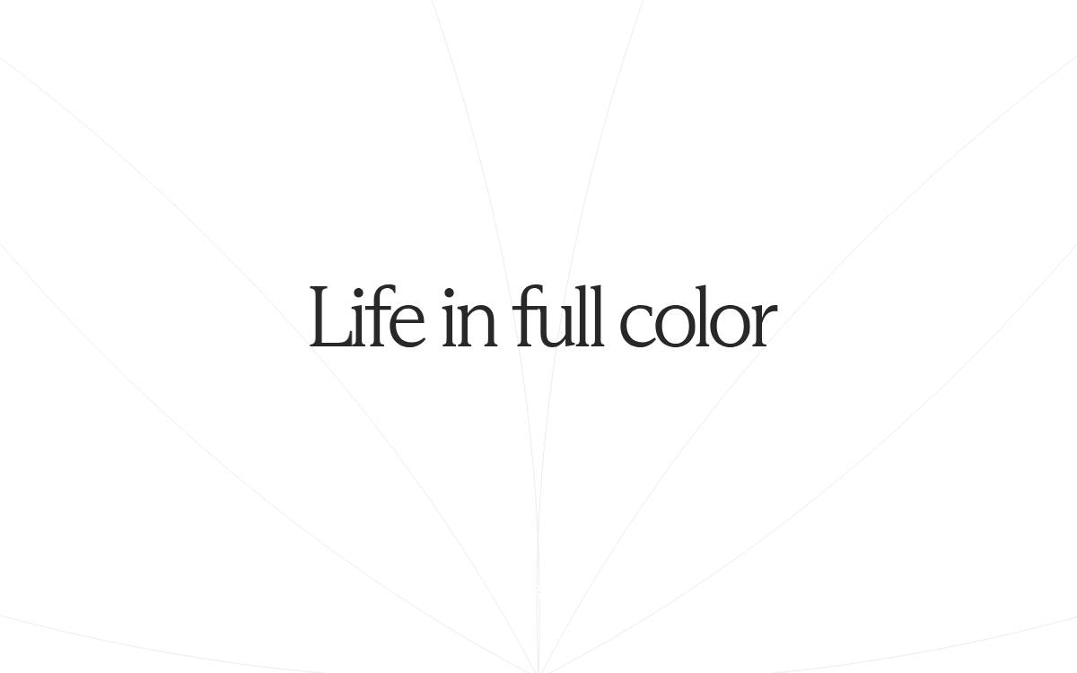 Color website preview