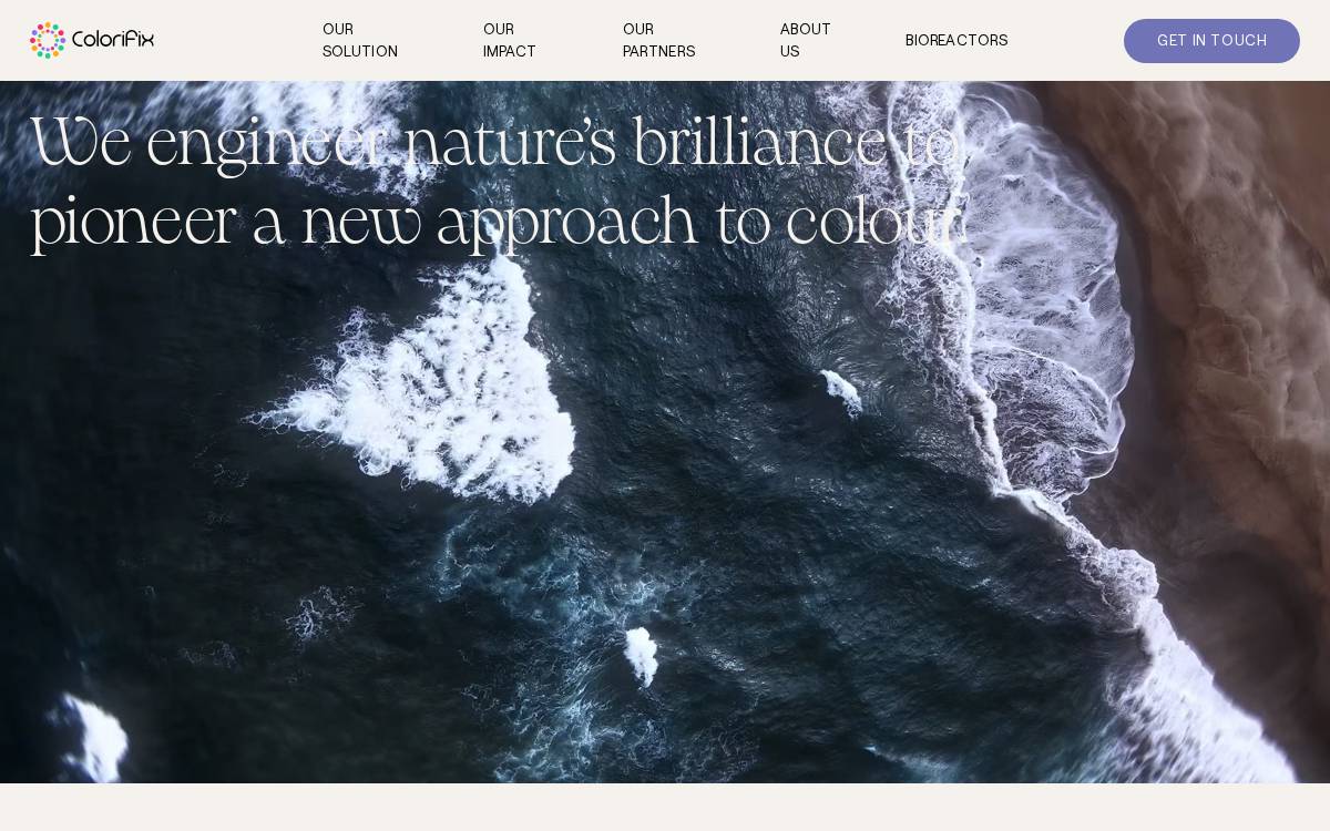 colorifix website preview