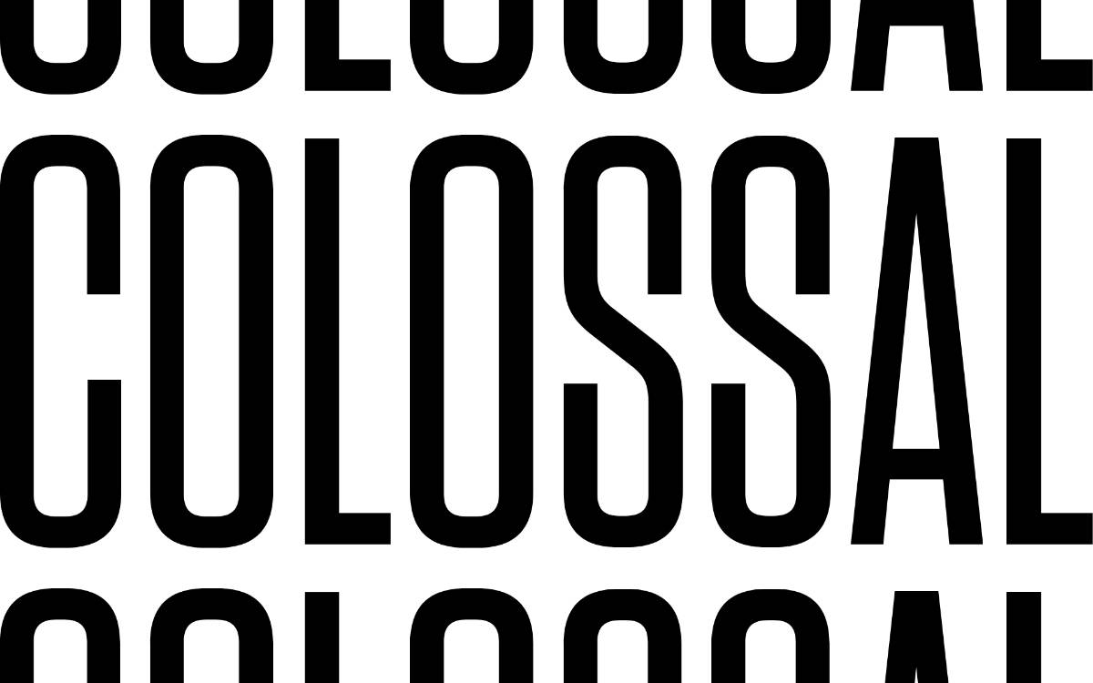 Colossal website preview