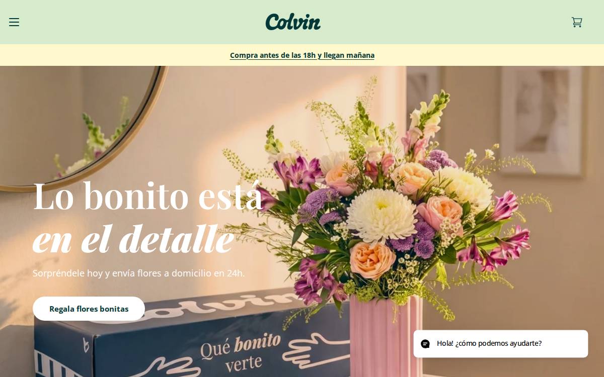 Colvin website preview