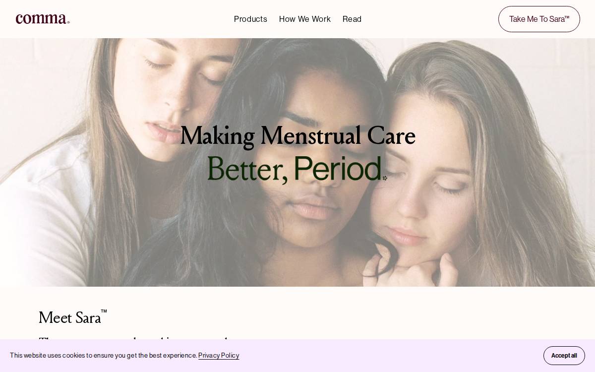 Comma website preview