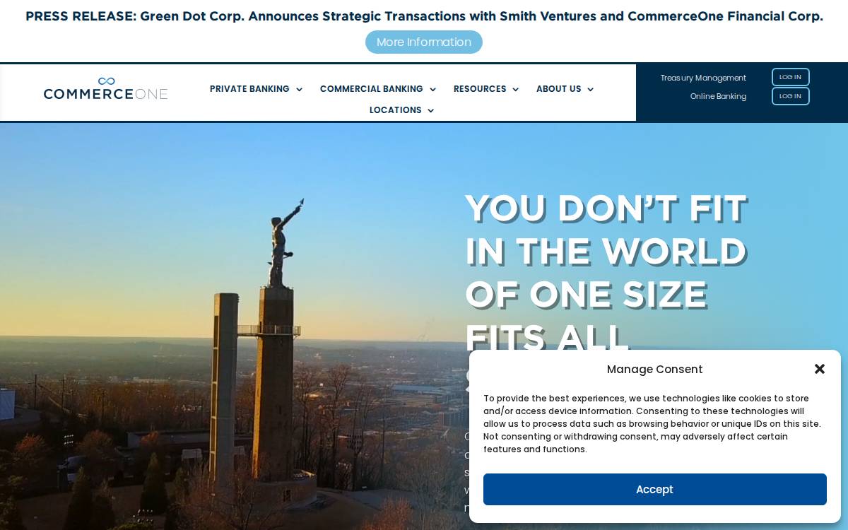 CommerceOne website preview