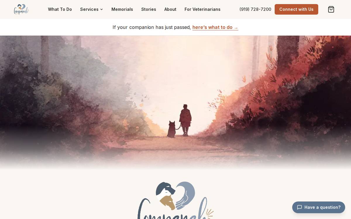 Companah website preview