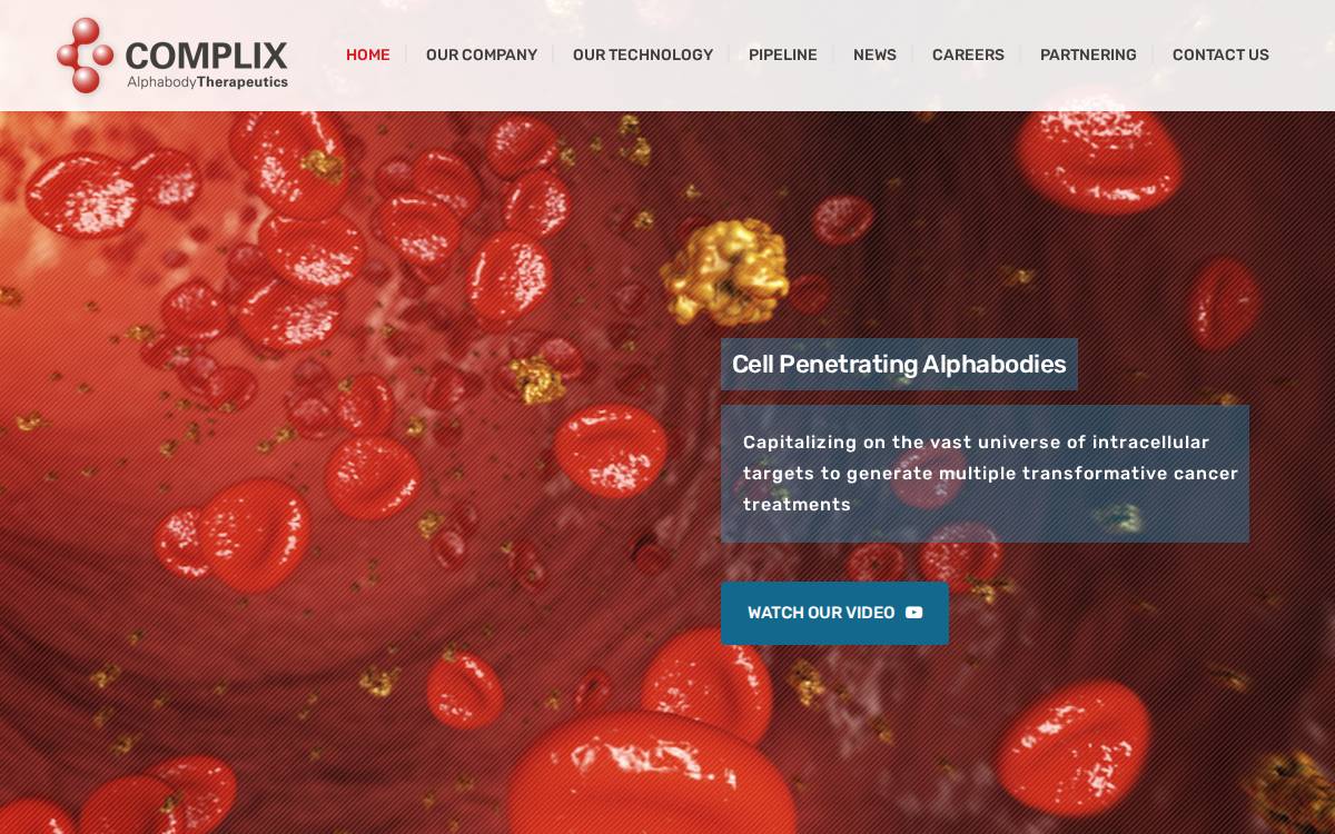 Complix website preview