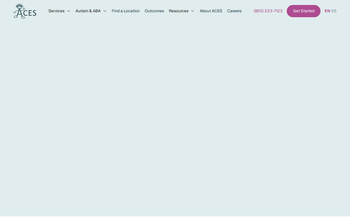 Comprehensive Educational Services (ACES) website preview